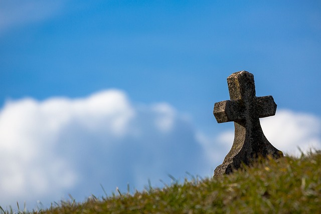 Profesionalios kapų priežiūros paslaugos: Ko tikėtis?